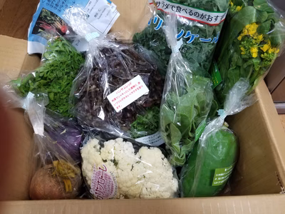 みんなの投稿の画像