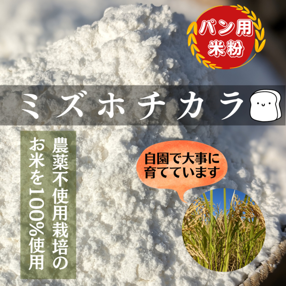 どんぐり農園のパン用米粉1kg（ミズホチカラ）｜加工食品の商品詳細