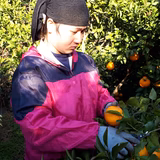 阿部真士 | 愛眞ファーム