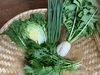奥出雲産自然栽培なべ野菜セット(4品)