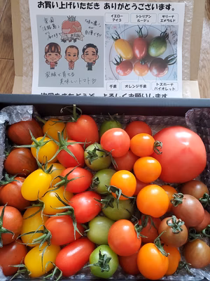 みんなの投稿の画像