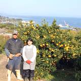 山田公寿 | やまだ果樹園