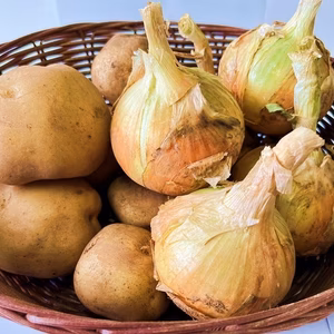 玄米と新じゃが芋と新玉ねぎ3点セット　無農薬栽培