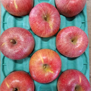 長野県飯綱産(旧牟礼村) サンふじ家庭用  大玉 5㎏ 10〜13個