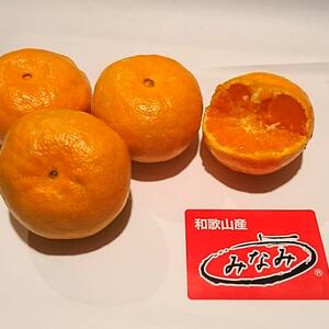味の濃いみかん(あけぼの） Ｌサイズ