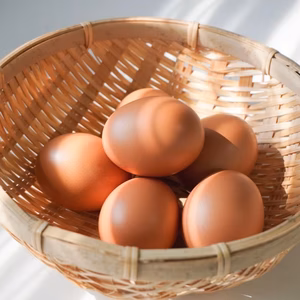 稀少な白い美味いたまご