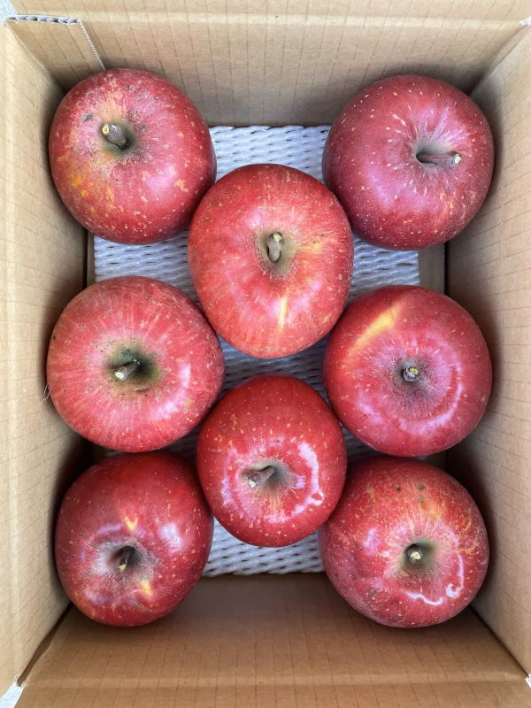 【ご家庭用】多系統完熟ふじりんご ◡̈