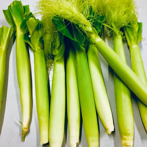 ヤングコーン　高糖度オオモノのちびです