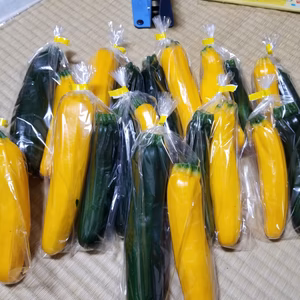 ズッキーニ詰め合わせ