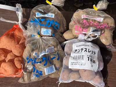 みんなの投稿の画像