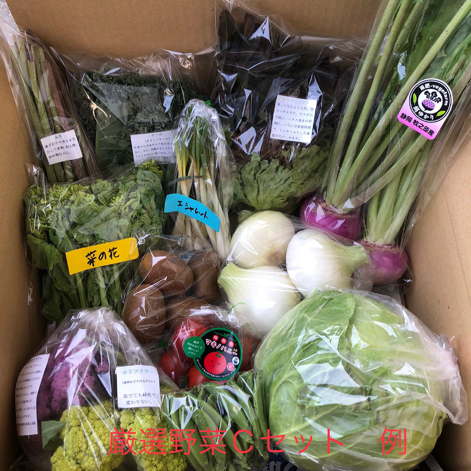 静岡厳選野菜セット 11 14品本州のみ 火曜 金曜発送日 農家漁師から産地直送の通販 ポケットマルシェ