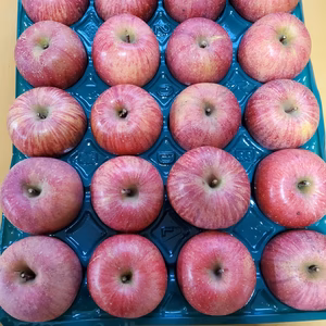 お得な家庭用サンふじ