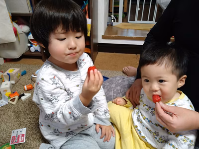 みんなの投稿の画像