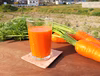 彩り鮮やか　カロテン豊富なニンジン【オランジェ】