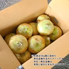 毎日5名様限定！【大玉】淡路島産たまねぎ 特別栽培 兵庫県認証食品 レシピ付き