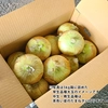 【大玉】淡路島産たまねぎ 特別栽培 兵庫県認証食品 レシピ付き！