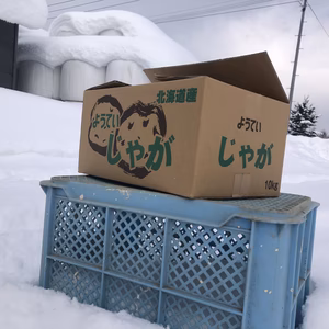 北海道産じゃがいも　品種男爵　10kg 込み玉　規格外品　※内容をご確認下さい