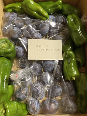 みんなの投稿の画像