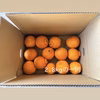 【訳ありご家庭用】長期熟成しらぬい　冷やして美味しい初夏の柑橘