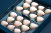 希少な完熟白いちご パールホワイト【約220g×2パック】