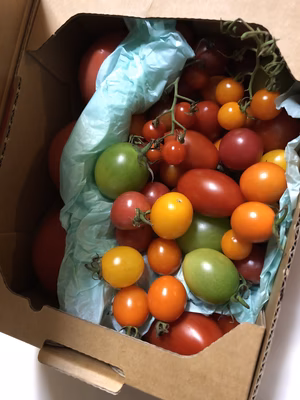 みんなの投稿の画像