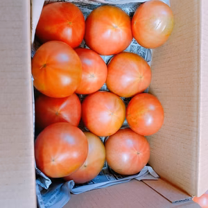 大玉トマト みそら 4kg 