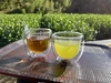 静岡セット　はるみＳサイズ（５㌔箱込・ワケあり品）と緑茶・ほうじ茶ティーバッグ