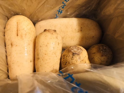 みんなの投稿の画像