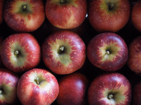 【秋映】甘酸っぱくて歯ごたえのいいりんご/特別栽培/ネオニコ系農薬不使用