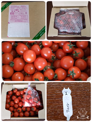 みんなの投稿の画像