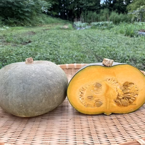 【農薬・化学肥料不使用】東京かぼちゃ　3kg
