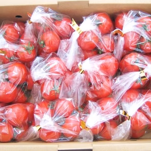 アイミィ｜袋入り3キロ箱