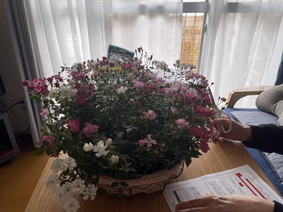 みんなの投稿の画像