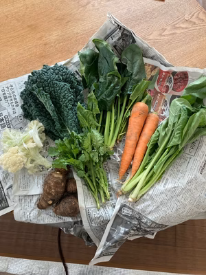 みんなの投稿の画像