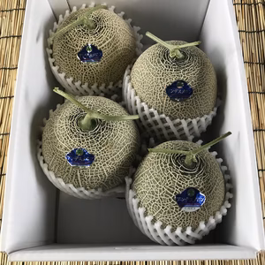 甘〜い　庄内砂丘特産メロン！