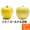 信州産 王林&シナノゴールド【家庭用3kg】2種食べ比べ☆10月上旬頃出荷開始