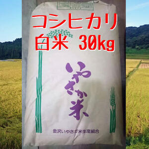 コシヒカリ 白米 30kg【R２年産】金沢いやさか米