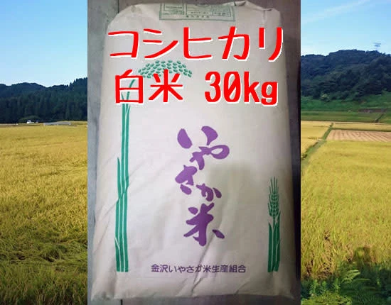 <古米>コシヒカリ 白米 30kg【R２年産】金沢いやさか米