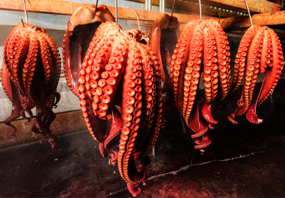 肉厚で味の濃い水蛸❗️ 足1本×2パック❗️青森県津軽海峡産