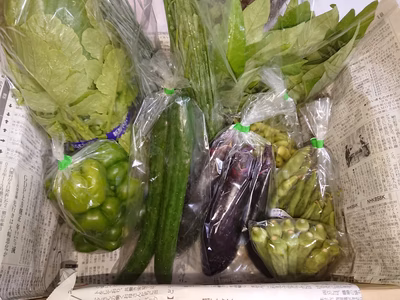 みんなの投稿の画像