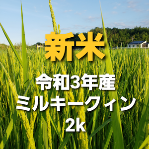 特別栽培米「ミルキークィーン」精米2kg