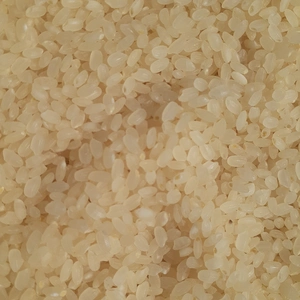 天手子米ランドの分つき米（R4年度産）