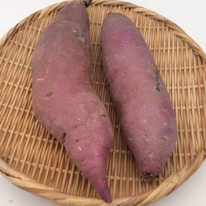 サツマイモ 紅はるか 大サイズ   農薬・化学肥料”不使用“