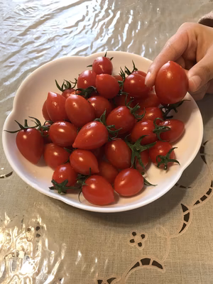 みんなの投稿の画像