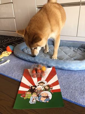 みんなの投稿の画像