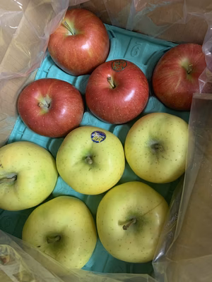 みんなの投稿の画像