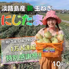 【肉厚ジューシー!!】淡路島産ブランド新玉ねぎ 『にじたま』一級品10kg