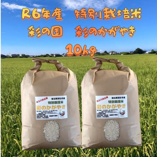 R6年産特別栽培米　彩の国　彩のかがやき　５㎏×2袋