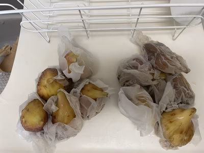 みんなの投稿の画像