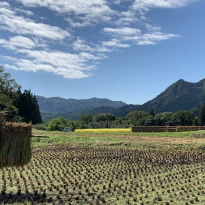 ポケットマルシェ｜産直(産地直送)通販 - 旬の果物・野菜・魚介をお